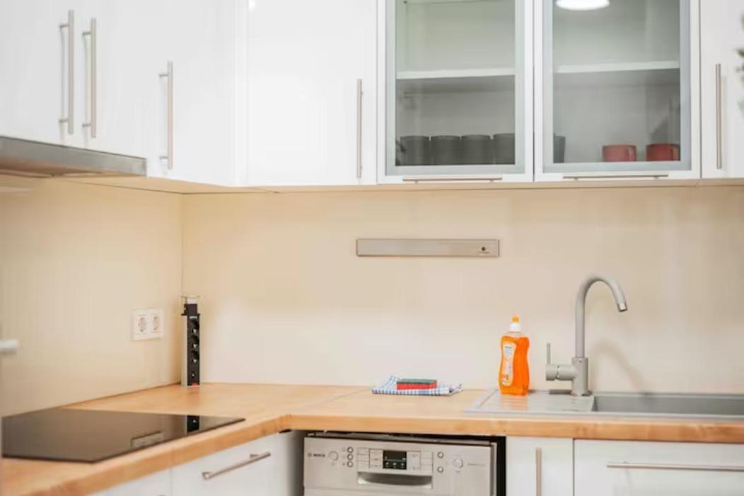 Apartments Next To Schoenbrunn - Free Parking !!! فيينا المظهر الخارجي الصورة